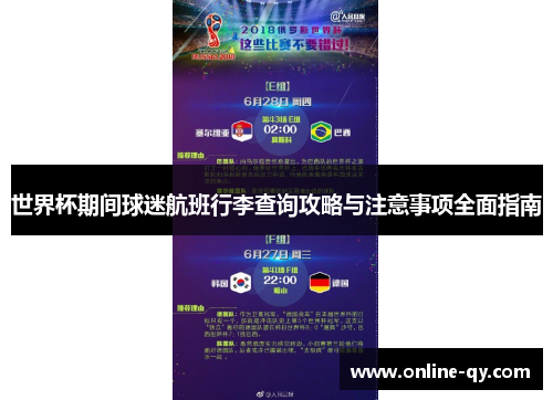 世界杯期间球迷航班行李查询攻略与注意事项全面指南