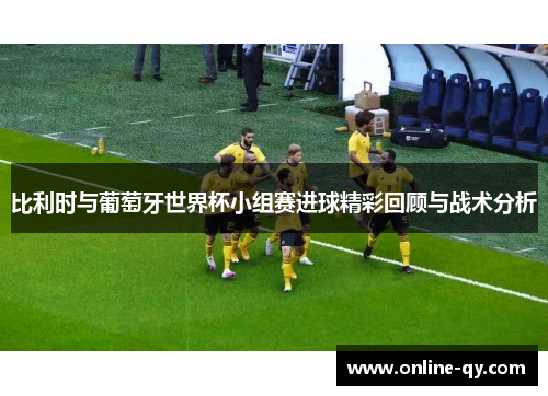 比利时与葡萄牙世界杯小组赛进球精彩回顾与战术分析