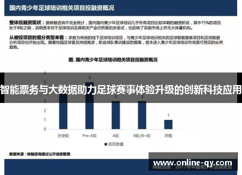 智能票务与大数据助力足球赛事体验升级的创新科技应用