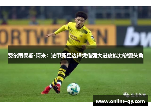 费尔南德斯·阿米：法甲新星边锋凭借强大进攻能力崭露头角