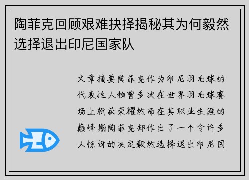 陶菲克回顾艰难抉择揭秘其为何毅然选择退出印尼国家队